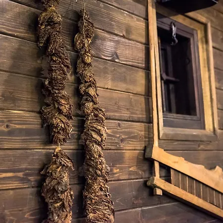 Banskovilla Zlateva House 게스트하우스