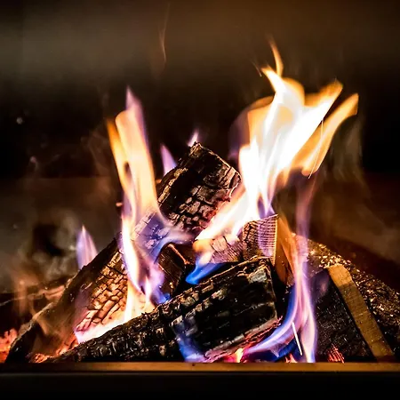 Banskovilla Zlateva House Bansko