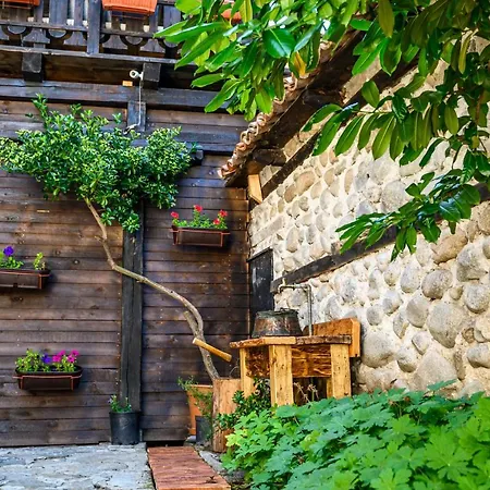 게스트하우스 Banskovilla Zlateva House
